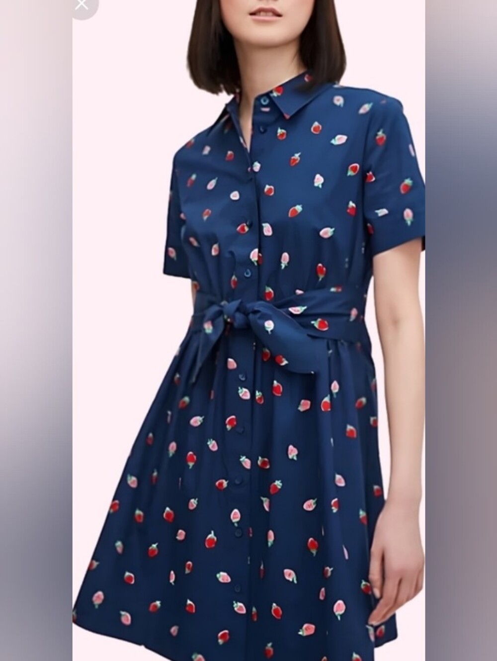 Kate Spade Strawberry Shirt Dress Belt Pocket Preppy Brunch Feminine Church Boho